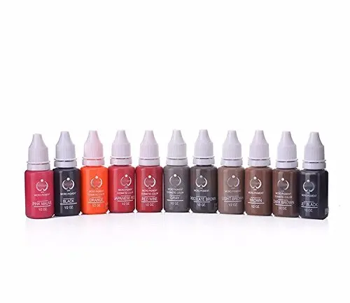 

10 Pieces Tattoo Ink Set Permanent Makeup Pigment 15Ml Eyebrow Brown Body Paint 10 Color Make Up Lip Gloss Red Eyebrow Black