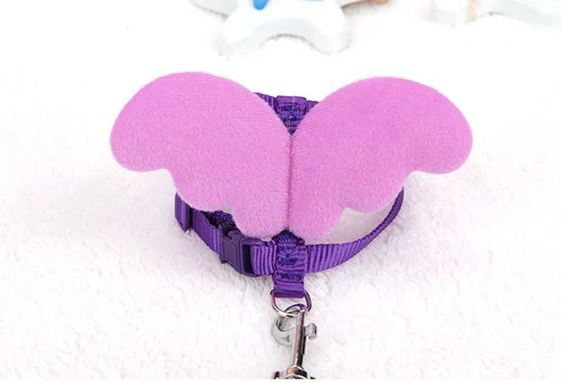 SYDZSW Nylon Pet Leash Cute Angel Wing Small Dog Lead Cat Harness for Chihuahua Yorkshire Dogs Cats Products Pet Accessories Wholesale17