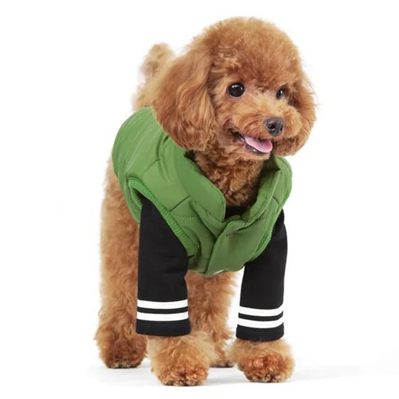 9 Signs You’re Completely Obsessed With Poodles SonderLives