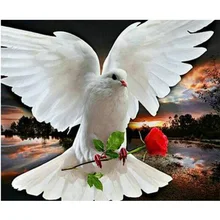 

Rose And Pigeon 5D DIY Diamond Embroidery Picture Of Crystals Mosaic Diamond Painting Hobbies And Crafts Home Decoration M225