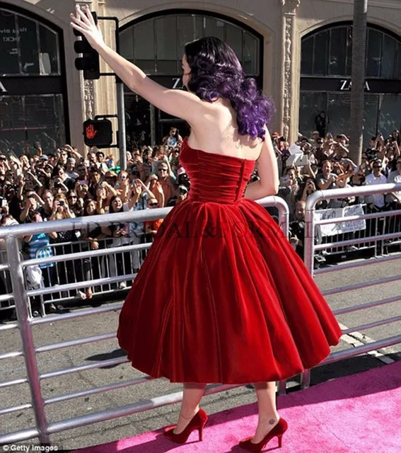 Jennifer Lopez Celebrity Dresses 2018 Sweetheart Velvet Sheer Back