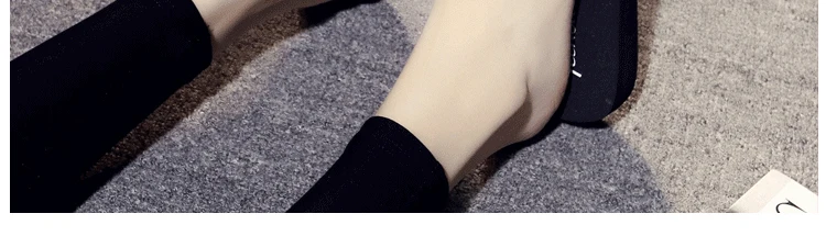 8551284790_1699425381_01