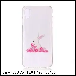 nEO_IMG_iPhone X Sakura(1)