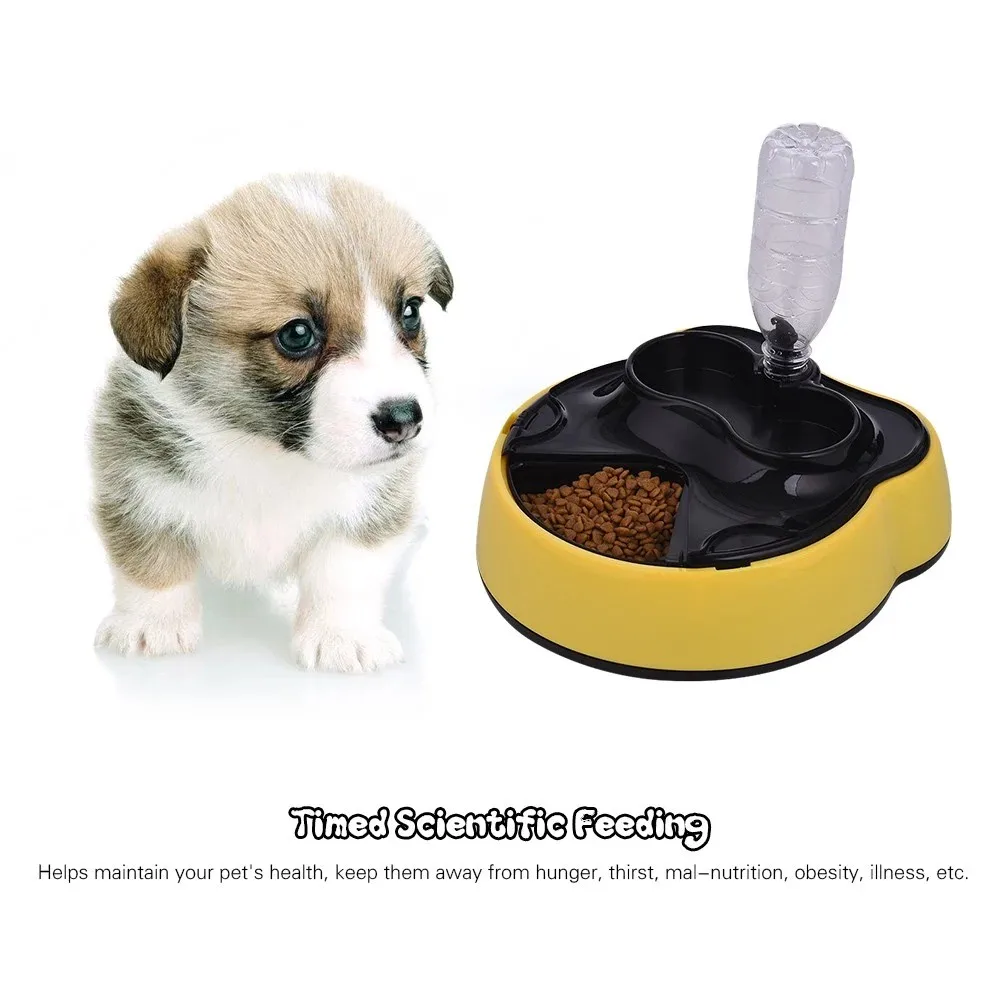 Automatic Pet Feeder Timing Dog Cat Food Dispenser 4 Meals Water Bowl Tray for Puppy Kitten