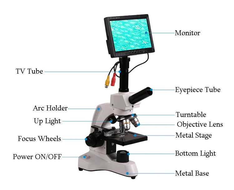 Professional Biological Microscope 400X with 3 Inches LCD Screen For Blood Detection Mites Aquaculture Instrument-14