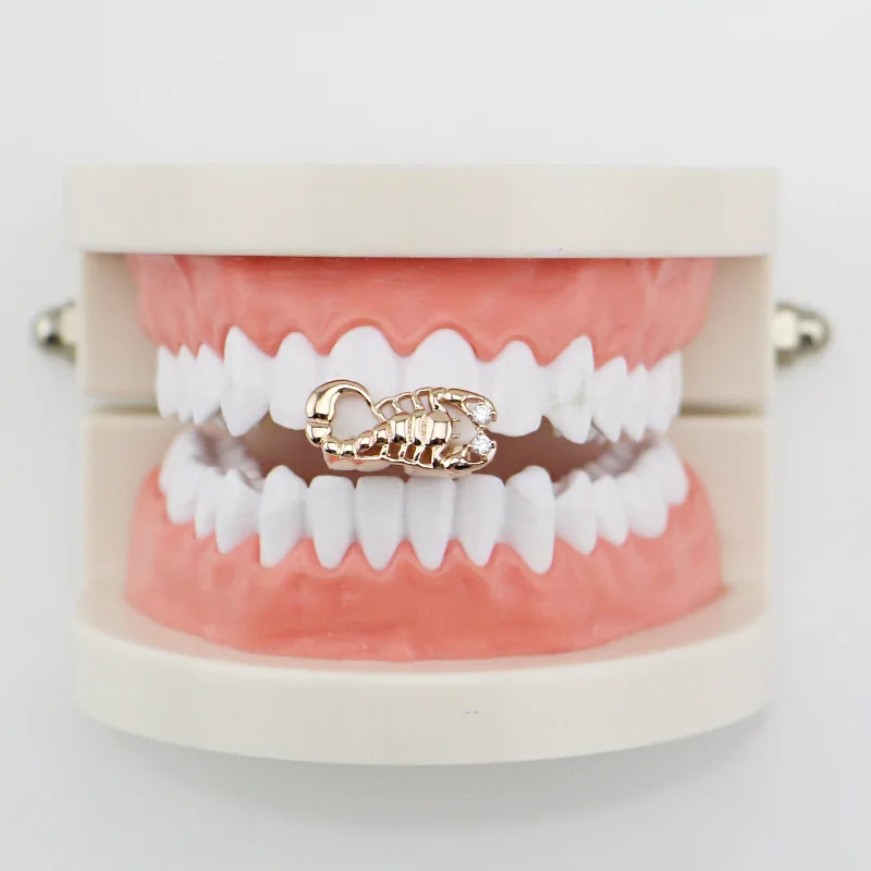 Factory Price Hip Hop Teeth Grills Gold Tooth Grills Dental Scorpion Animal Teeth Caps Mouth Body Jewelry Vampire Gift (19)