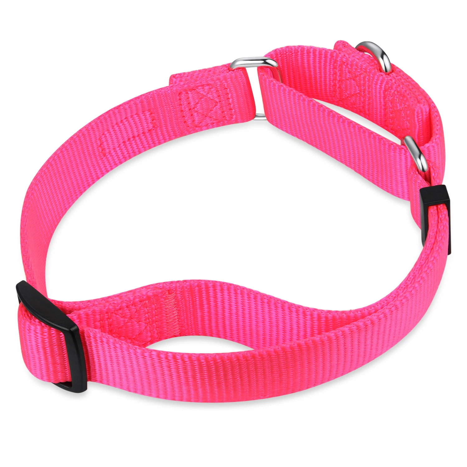 Buy Adjustable Martingale Training Dog Collar Online Free Delivery