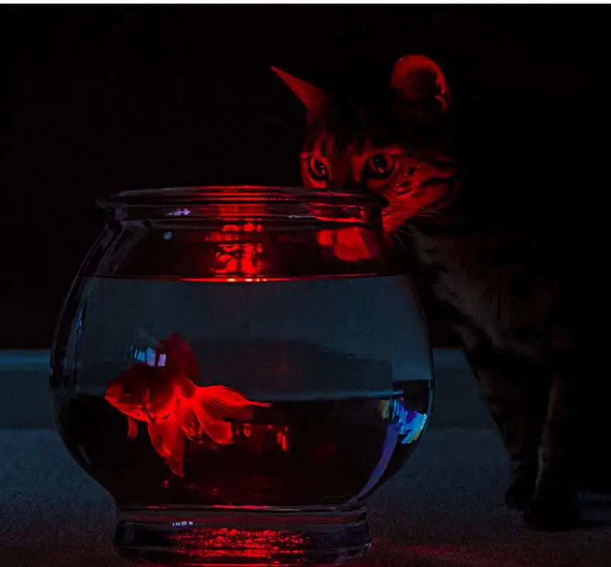 2019 Rushed Favors And Gifts Rgb Multi Colors Remote Control 16colors Submersible Led Light Vases Base for Celebration | Дом и сад