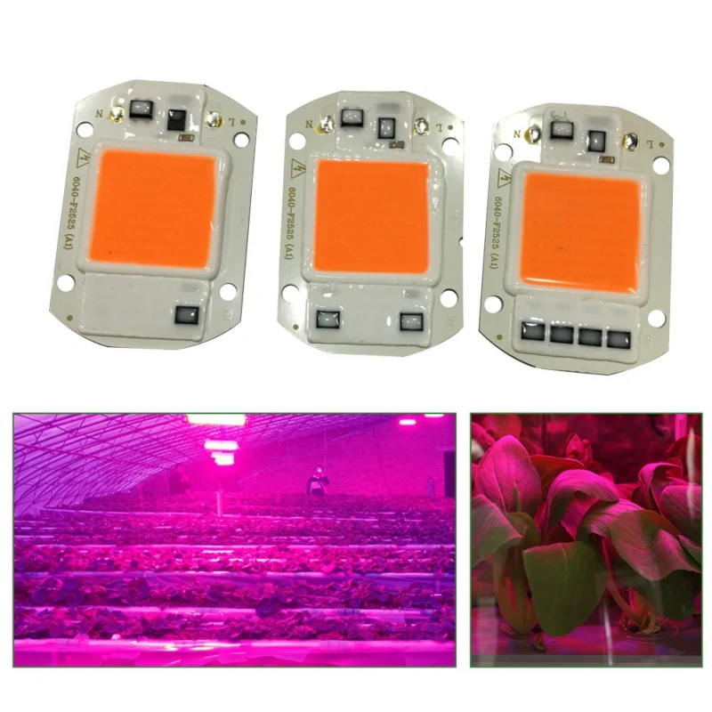 

220V 110V 20W 30W 50W LED COB Chip For Grow Plant Light Full Spectrum For Indoor Plant Seedling Labels Flower Growth Lighting