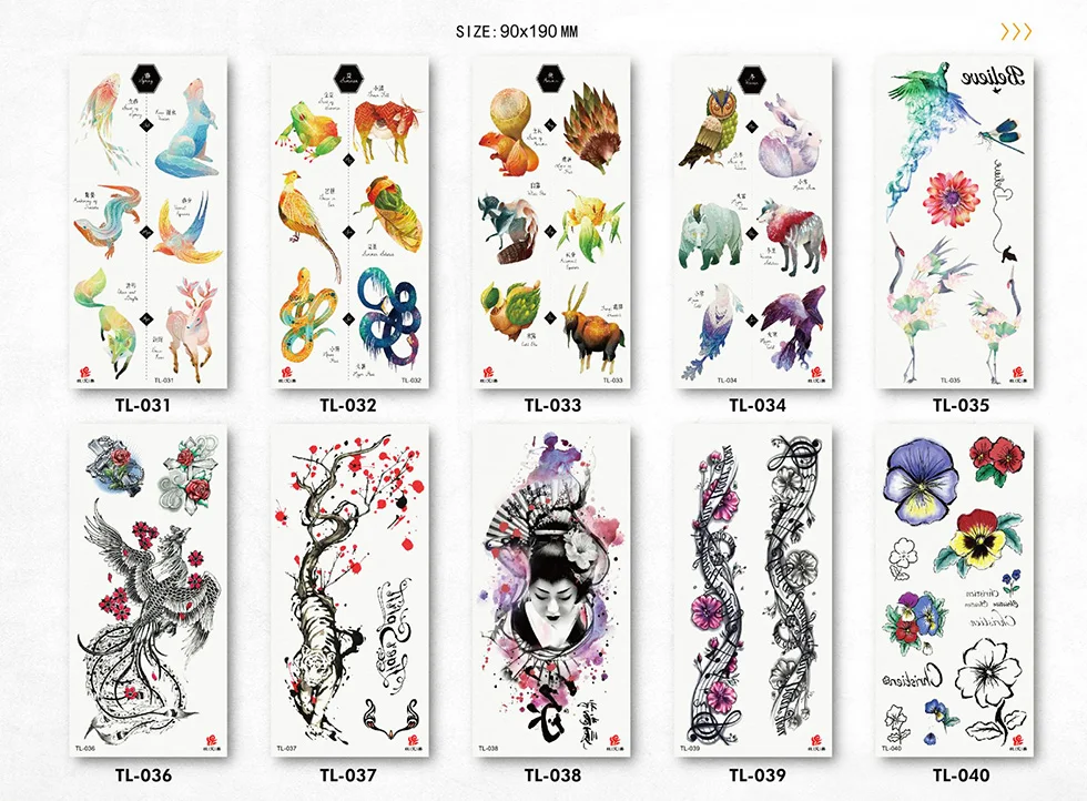 8525629772_1876105859