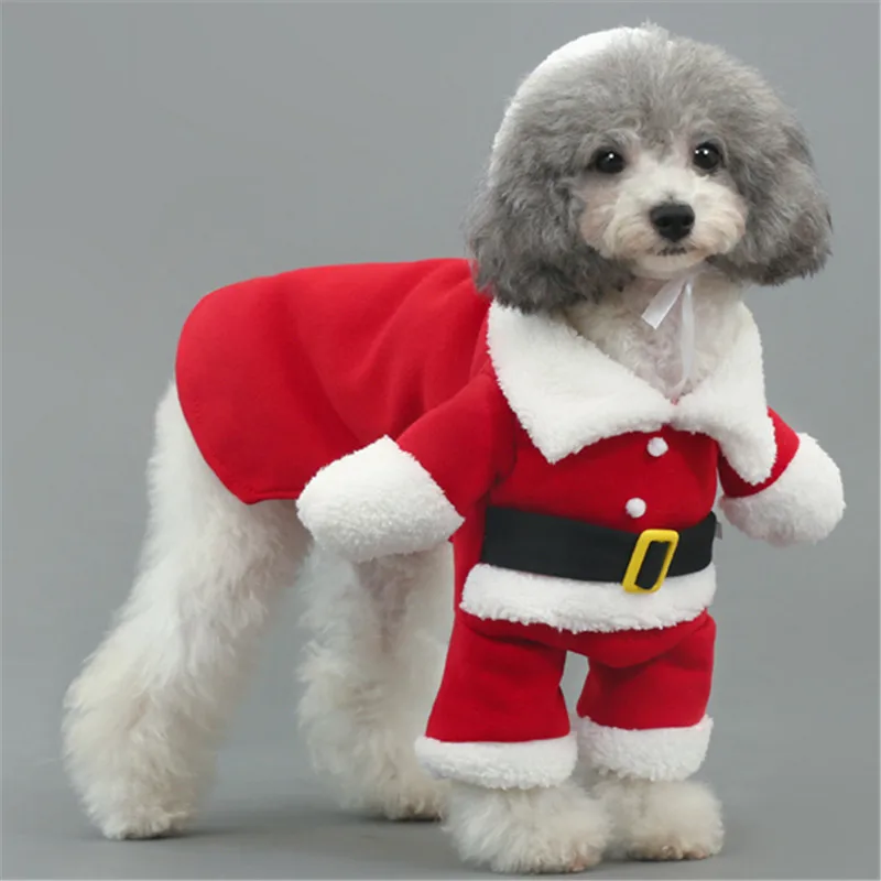 chihuahua christmas clothes