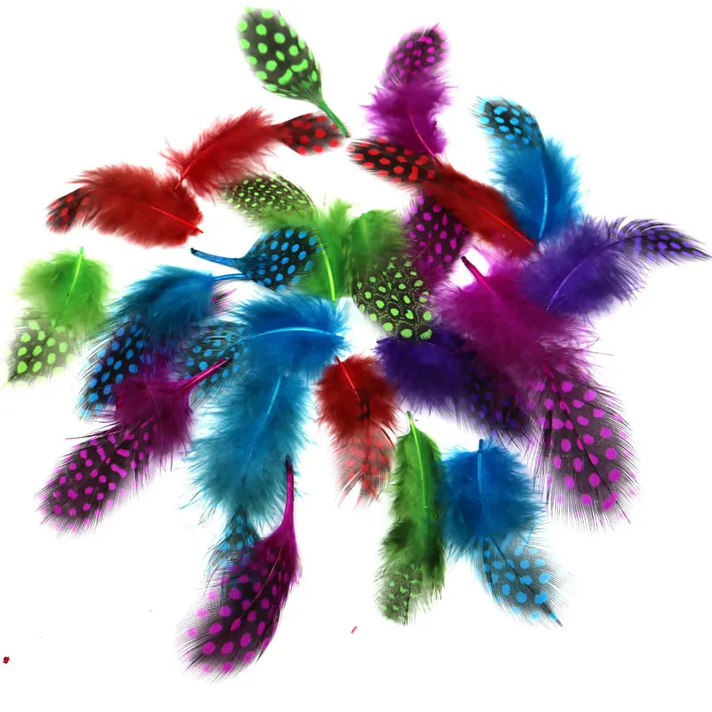 50pcs Mixed Color Dyed Guinea Fowl Feathers DIY Art Craft Fly Tying Material 