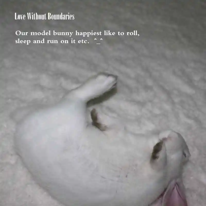WHITE SNOW CARPET (18)
