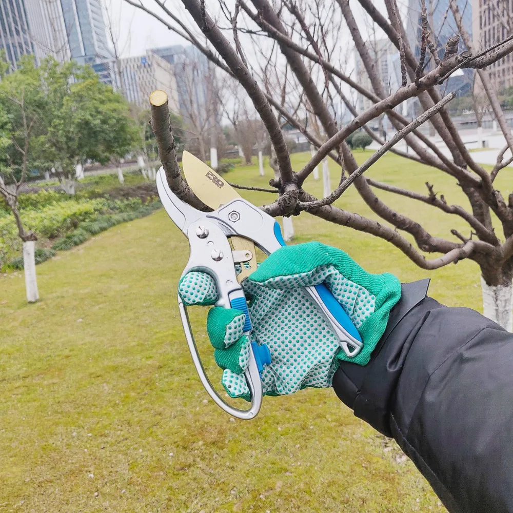 QQ20190131144546