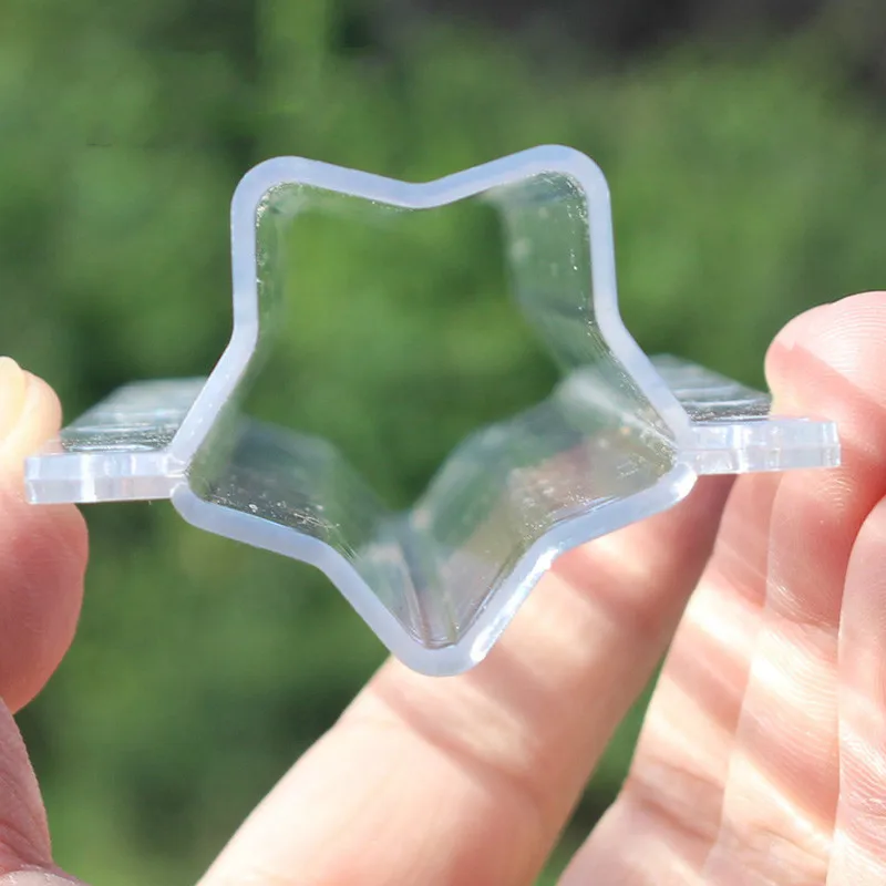Plastic Transparent Growing Mould for Garden Bonsai, Strawberry Growth Forming Mold, Star and Heart-Shaped, 2 Sets