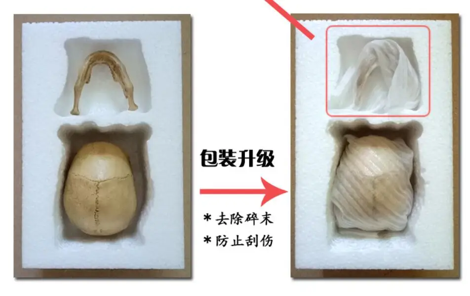 QQ20181224204813