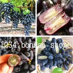 40 шт. черная виноградная бонсай миниатюрная Виноградная лоза бонсай горшечная Органическая фруктовая Планта растение суккулент легко