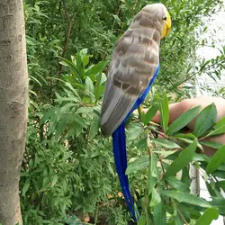 Пены и перья около 30 см серый и синий перья попугай птица ремесленного дома подарок украшения сада P0209