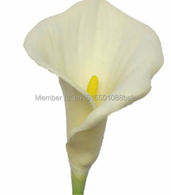 pc0510.jpg