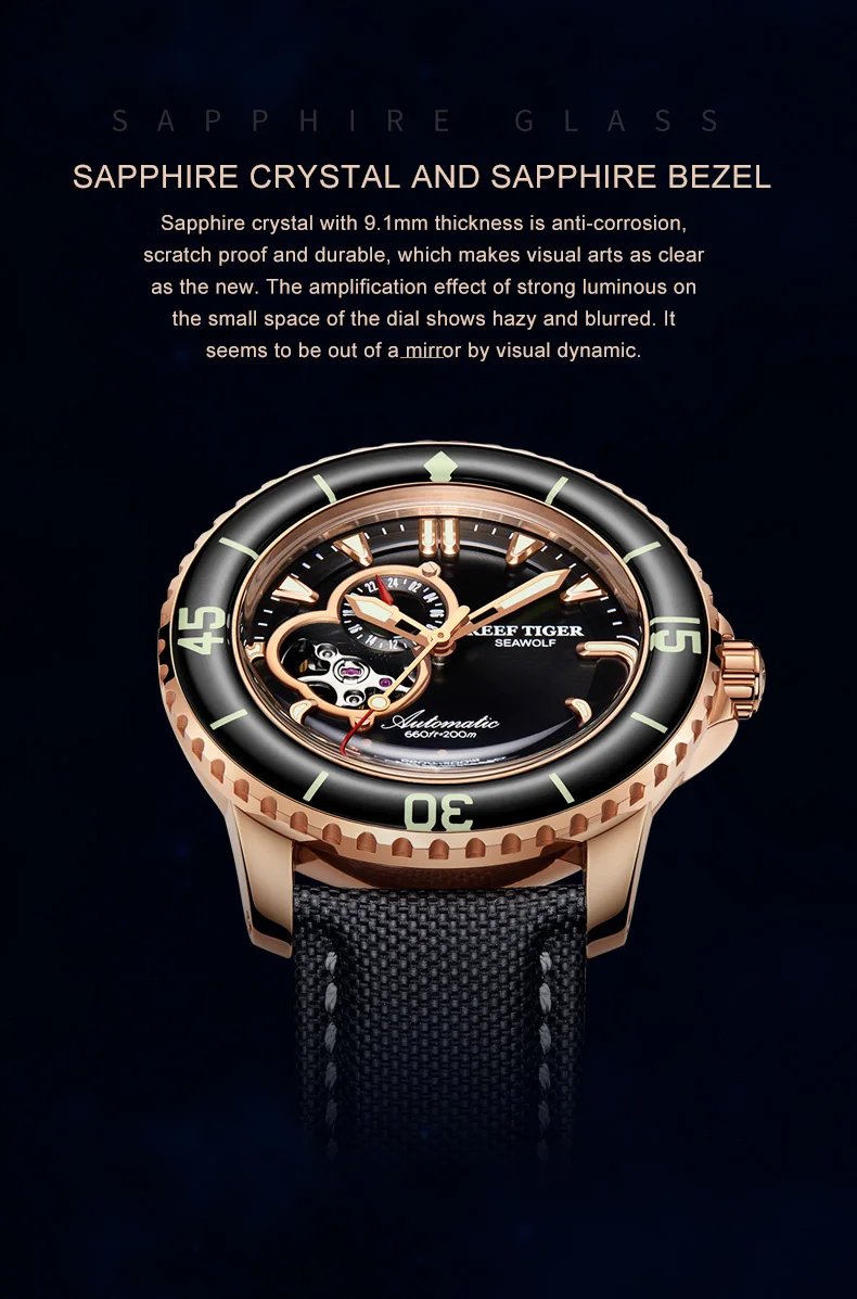 Риф Тигр/RT погружения спортивные часы для мужчин 200 м водостойкие часы синий кожаный ремешок супер световой часы RGA3039-PLBC