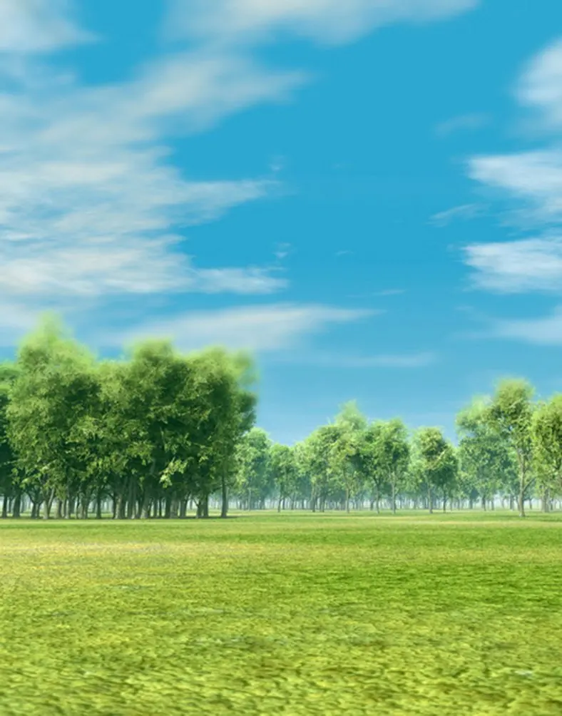 

5x7ft Lawn Tree Blue Sky Photography Backdrops Photo Props Studio Background