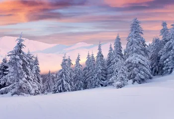 

VinylBDS Screen Natural Scenery Background Fantasy Nightfall Sunset Beautiful Snow Mountain Cedar Kate Background Backdrop