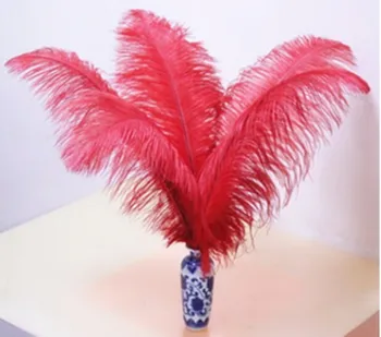 

Sell high quality 50pcs / lot Red ostrich feather 14-16 "/ 35-40cm, DIY jewelry accessories /Wedding decoration