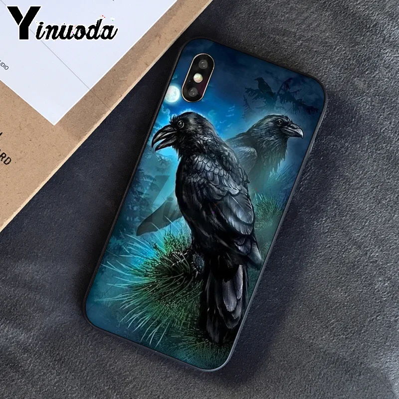 Viking odin norse Huginn and Muninn bird