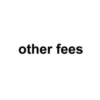 

Other Fees