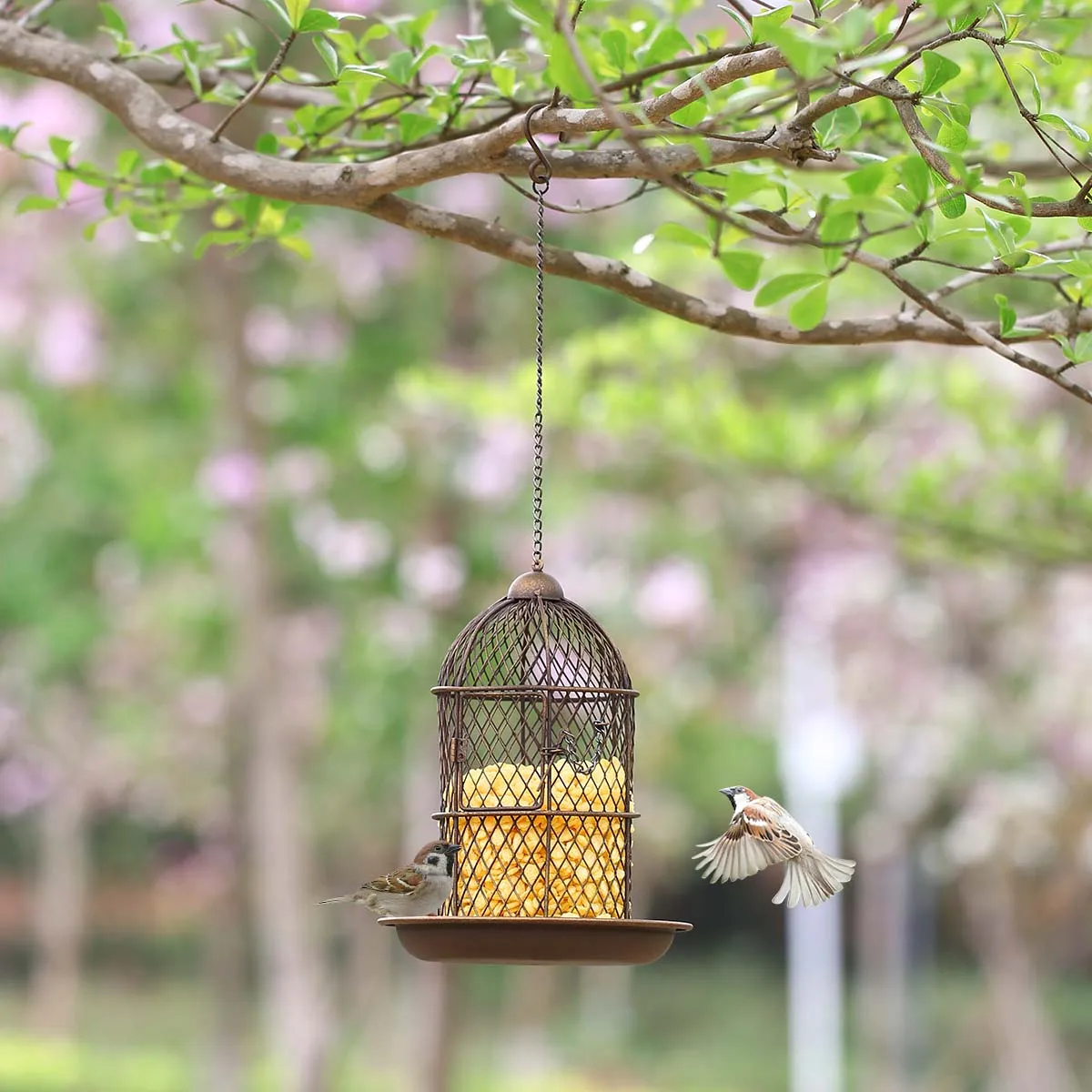 

Tooarts Bird Feeder Bird Cage Feeder Hanging Wild Bird Feeder Garden Backyard Decoration Bird Gift Home Decoration Crafts