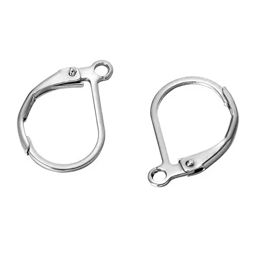 10pcs-304-Stainless-Steel-Lever-Back-Earrings-Earwire-Findings-Jewelry-Making-Supplies