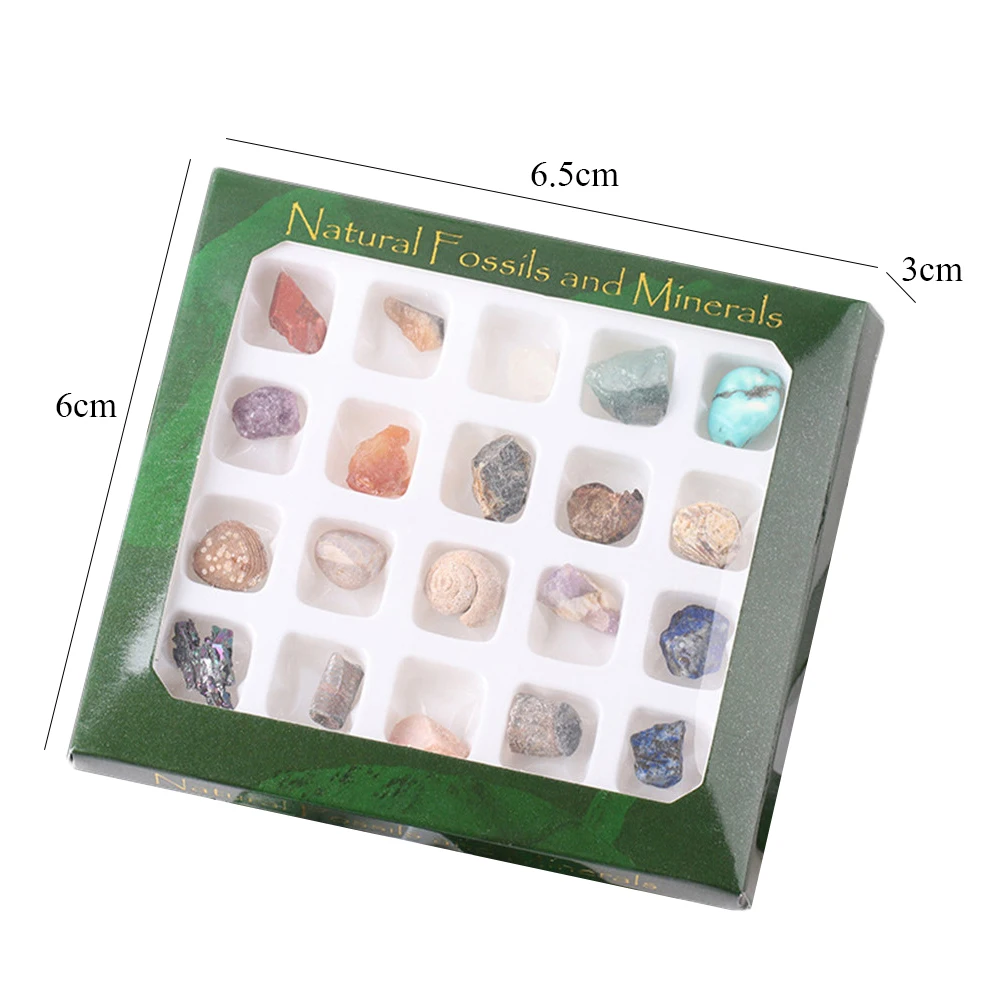 AUGKUN руды Fossil набор орнамент натуральный камень ремесло кристалл драгоценный камень полированный Исцеление натуральный кристалл драгоценный камень хороший подарок