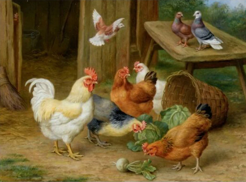 435