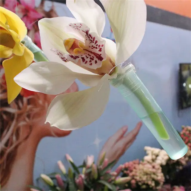 WHISM 25PCS Fresh Flower Tubes Plastic Water Tube for Keep Fresh