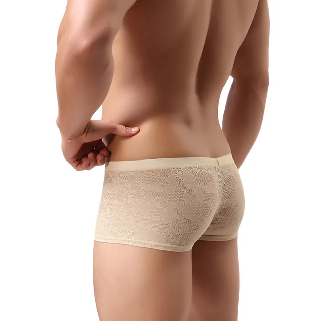 2017 New Fashion Mens Sexy Translucent Boxer Briefs Intimates Soft Lace Floral Ventilate Exotic Boxer Sexy Shorts Underpants -