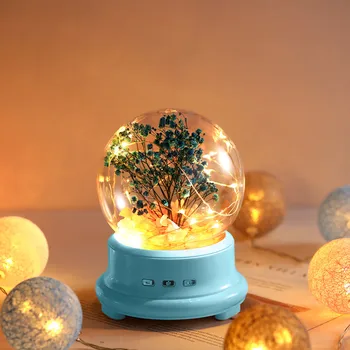 

2020 New Led Bottle Lamp Preserved Flower In Glass Dome, Night Light Bluetooth Speaker Drop Shipping