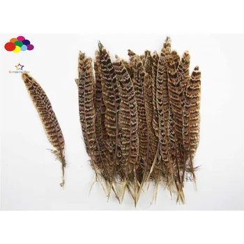 

10pcs 100% natural premium pheasant feather 10-15cm/4-6inch brown black tail beautiful for Diy carnival costume mask headdress