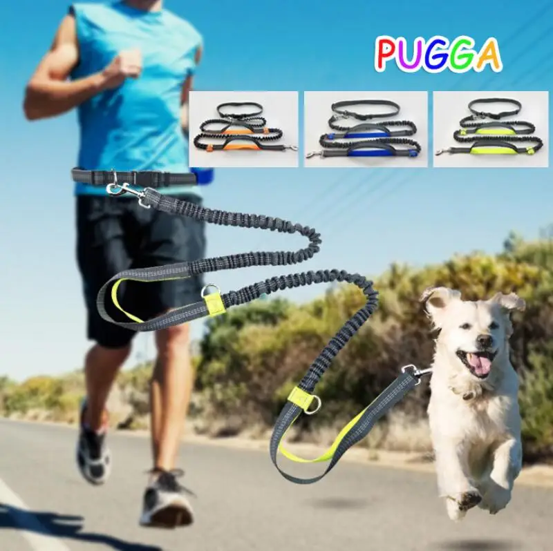 

New Multi-Functional Dog Leash Retrackable Reflective Double Elasticity 4 Color Padded Waist Quality GG4010