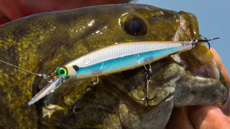 Rapala бренд Shadow Rap Deep SDRD11 литая рыболовная приманка 11 см 13 г глубина 1,2 м-2,4 м жесткая приманка для моделирования гольян с крючками VMC