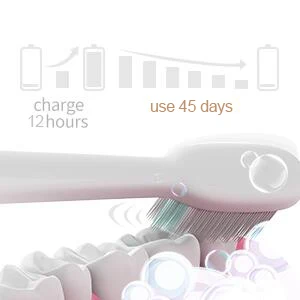 Sarmocare Electric Toothbrush for Adults USB Sonic Rechargeable Teeth Brushes with 3 Replacement Heads Smart Timer Waterproof Sarmocare Electric Toothbrush for Adults USB Sonic Rechargeable Teeth Brushes with 3 Replacement Heads Smart Timer Waterproof