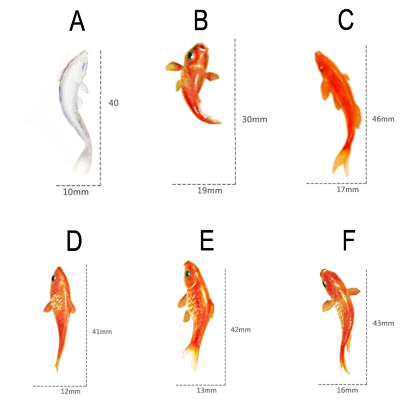 9 шт./компл. 3D Творческое моделирование Красный рыбы, декоративные каучуковые Стикеры подходит DIY инструменты формы для микро ландшафтного дизайна Скрапбукинг Стикеры s