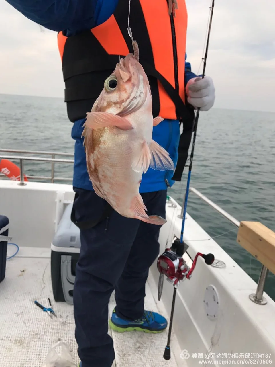 Carretel de Pesca Eixo da Força Roda de Pesca Frete Grátis Contagem Elétrica Roda Trolling 7000 Série 7 Pesca 30kg Digital 21 High Quality Esporte e Lazer