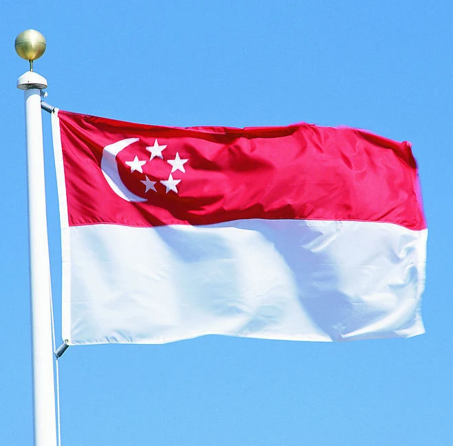Singapore National Pennant Custom Hanging Flags Size 96 144cm 4