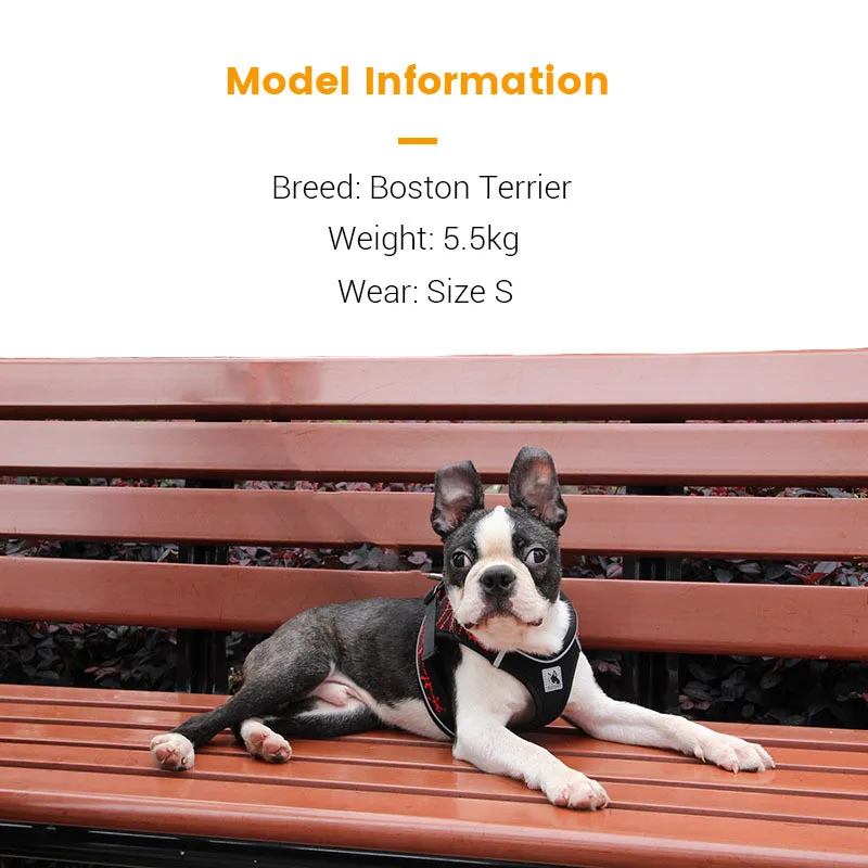 Dog Harness Breathable (5)