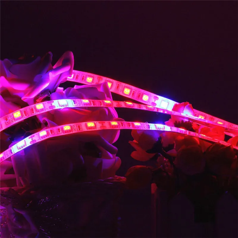 Растение светится полный спектр светодиодные полосы цветок Фито лампа 5 м водонепроницаемый красный синий 3:1 для теплицы гидропоники+ адаптер питания