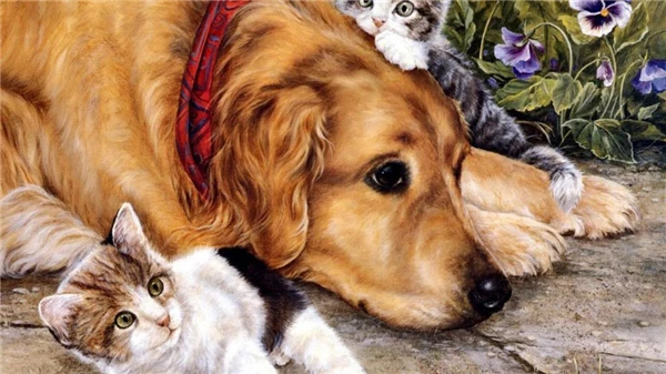 Постеры с собаками. Кошка и собака картинки нарисованные. Кошка и собака очертание. Нарисовать кошку и собаку. Тень кошки и собаки.