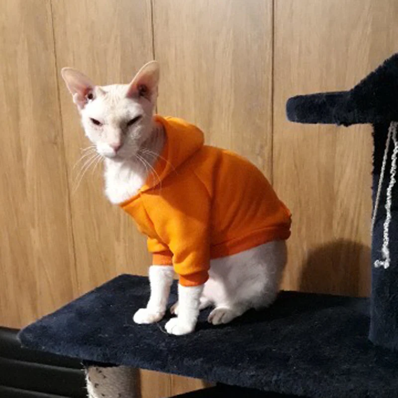 Куртка для питомца, кошки; пальто на осень; теплые мягкие зимние Домашние животные Кот для маленьких кошек котенок кошка костюмы Костюмы мопс, чихуахуа, одежда с принтом в виде собак