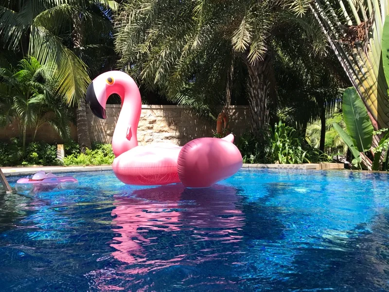 150   flamingo