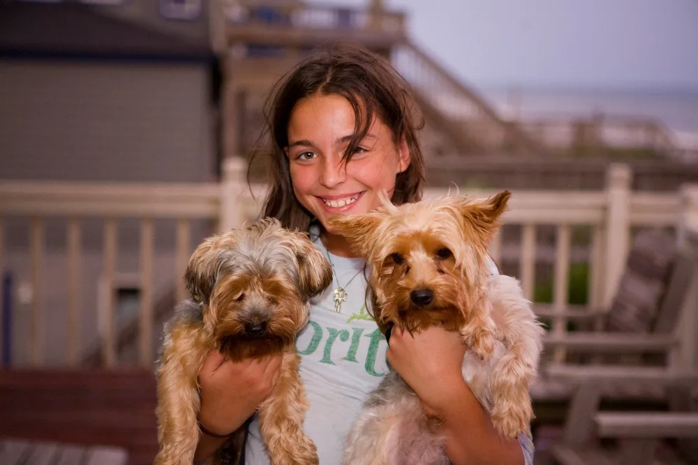 adorable-animals-canine-161462