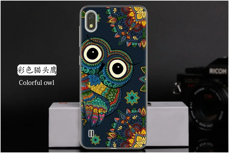  Colorful owl